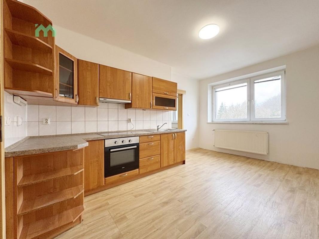Pronájem bytu 2+1 60 m² — fotografie 6