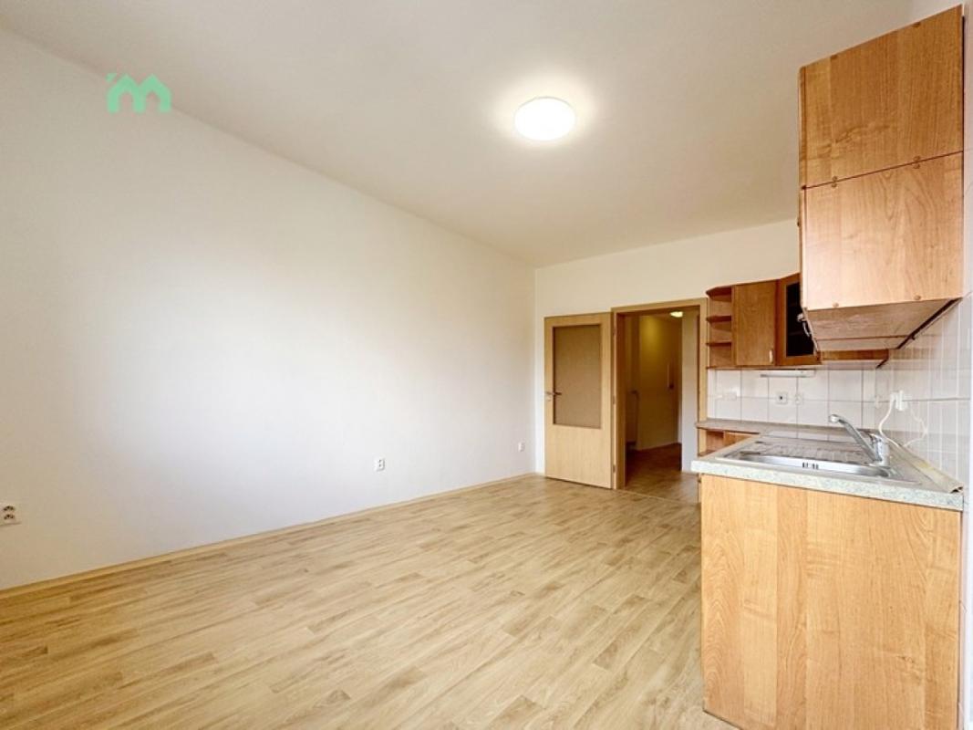 Pronájem bytu 2+1 60 m² — fotografie 10