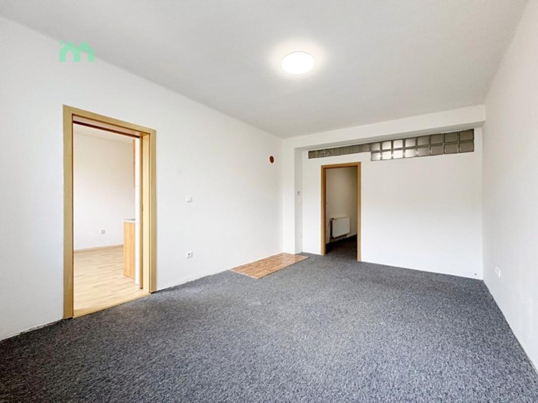 Pronájem bytu 2+1 60 m² — fotografie 14