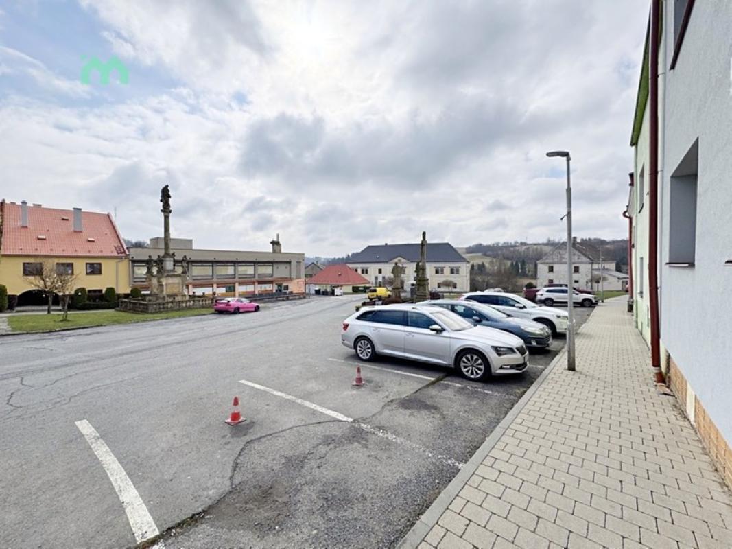 Pronájem bytu 2+1 60 m² — fotografie 36