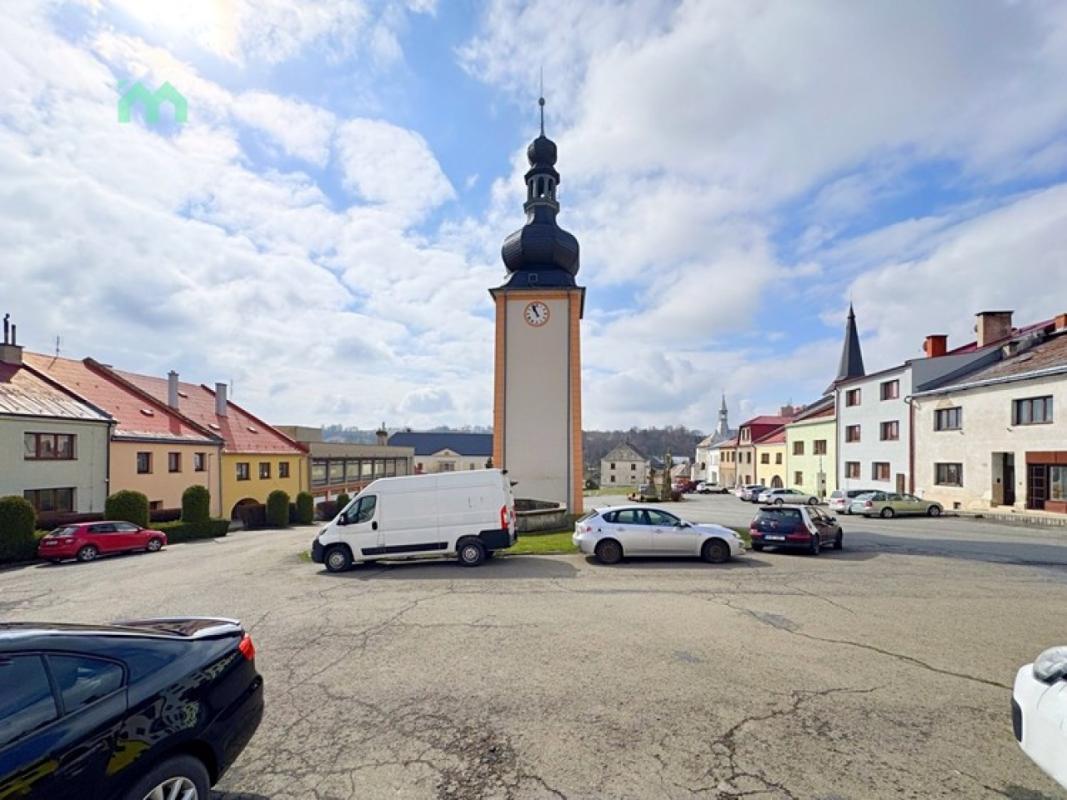Pronájem bytu 2+1 60 m² — fotografie 38