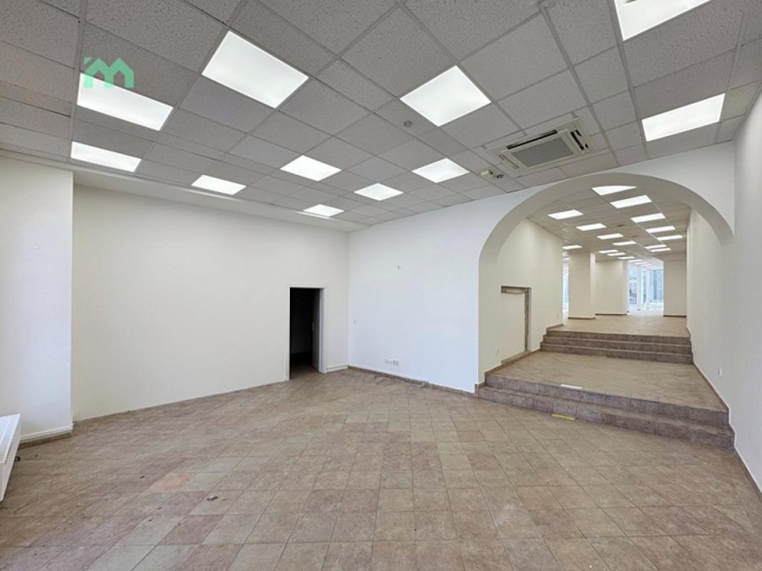 Pronájem obchodního prostoru 250 m² — fotografie 5
