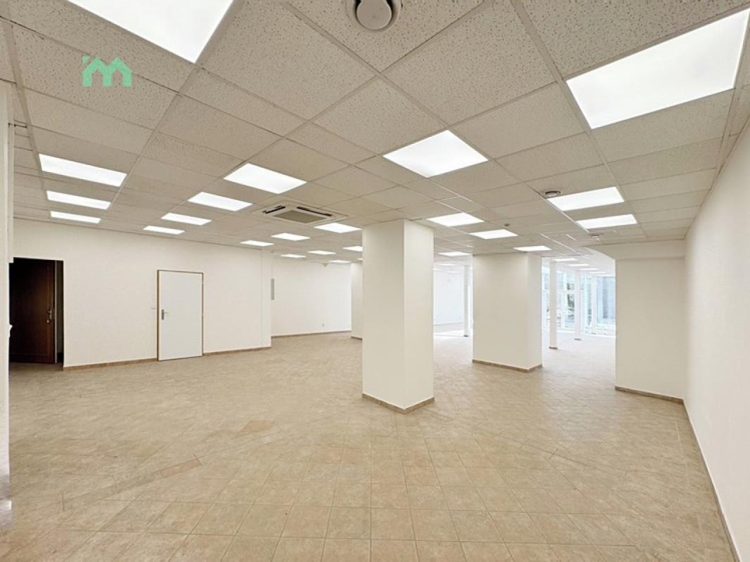 Pronájem obchodního prostoru 250 m² — fotografie 8