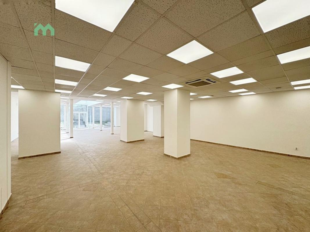 Pronájem obchodního prostoru 250 m² — fotografie 9