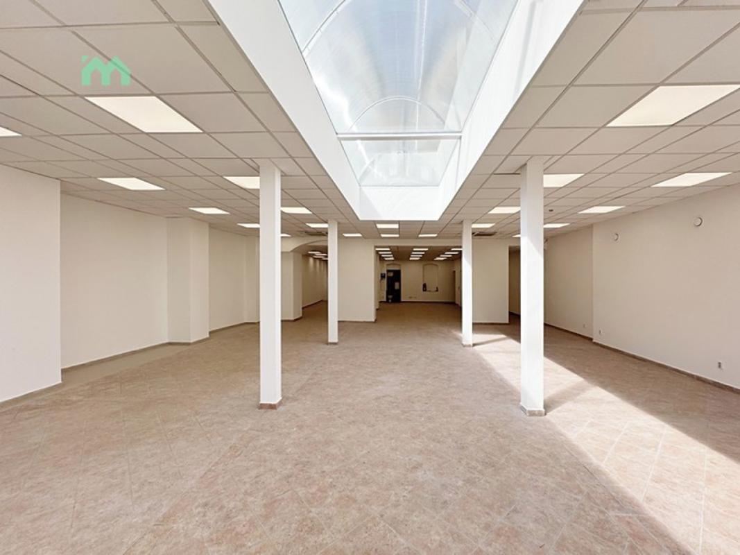 Pronájem obchodního prostoru 250 m² — fotografie 12
