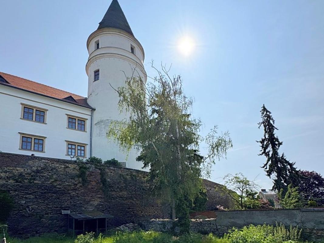 Pronájem obchodního prostoru 250 m² — fotografie 22