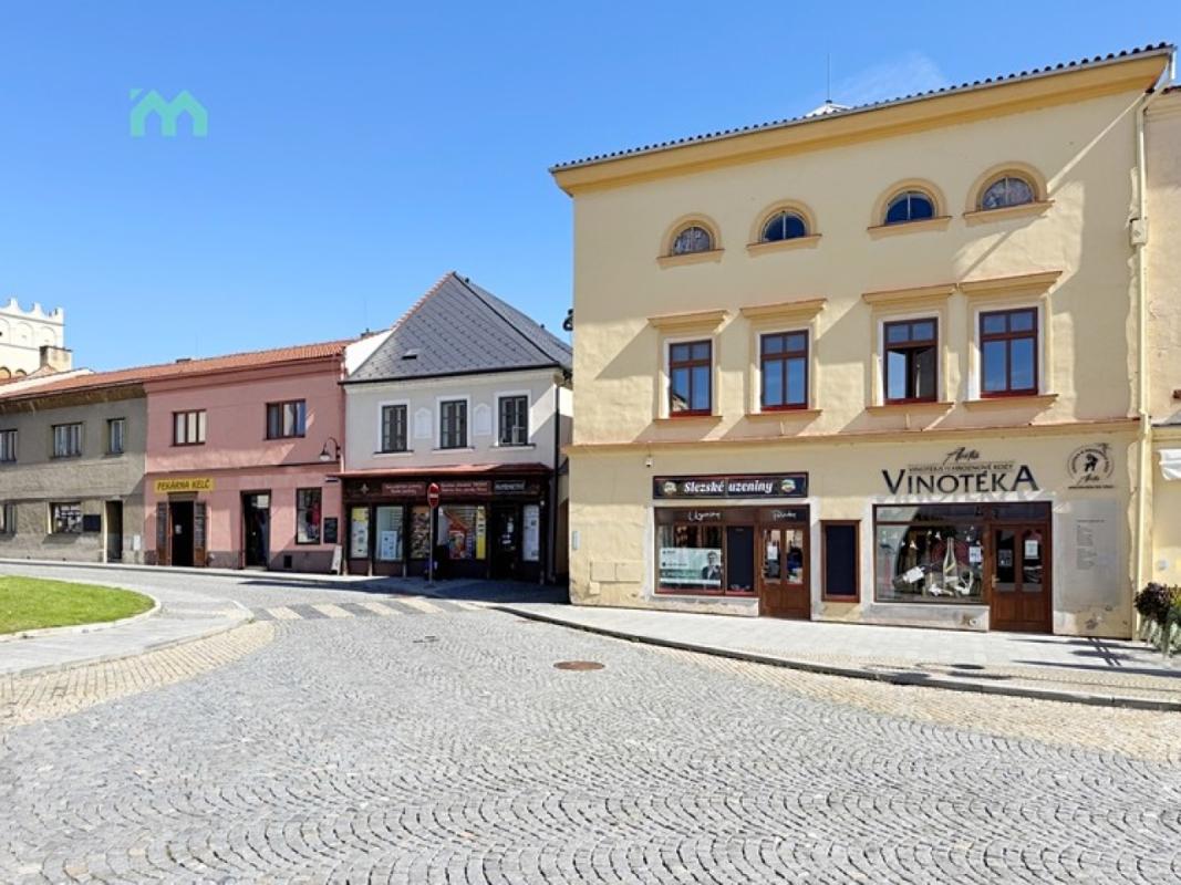 Pronájem obchodního prostoru 45 m² — fotografie 1