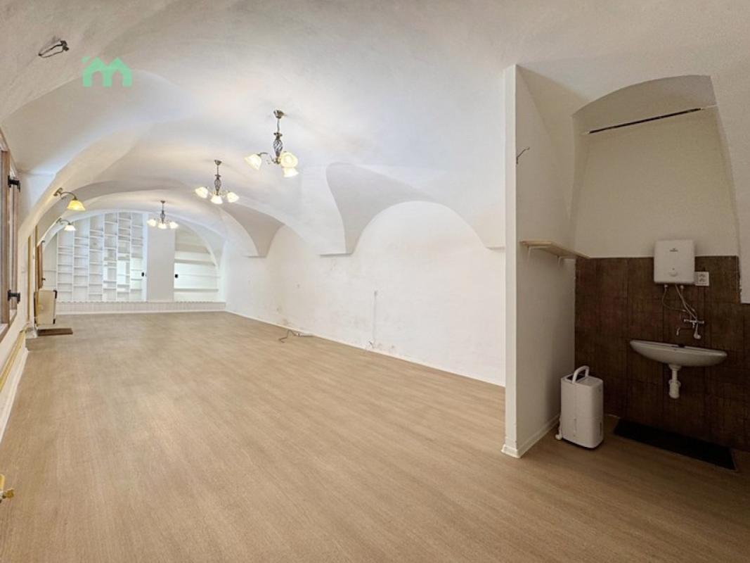 Pronájem obchodního prostoru 48 m² — fotografie 9