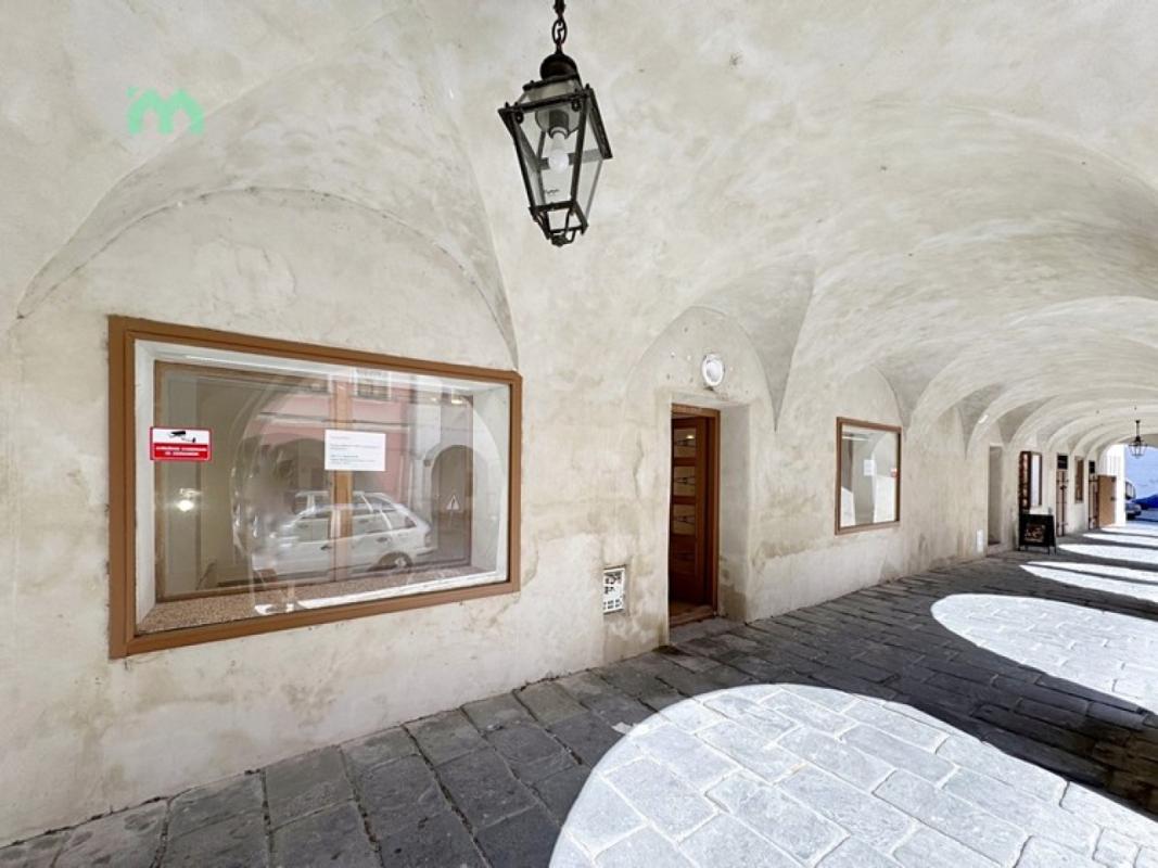 Pronájem obchodního prostoru 48 m² — fotografie 12